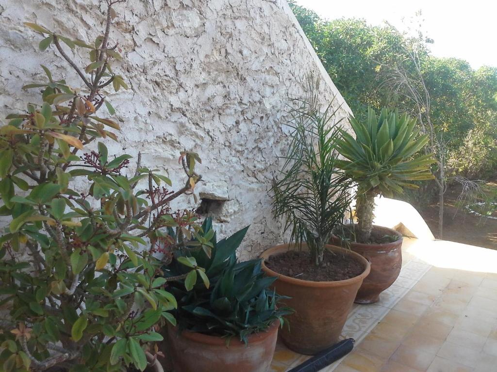 מלון La Maison אסאוירה מראה חיצוני תמונה