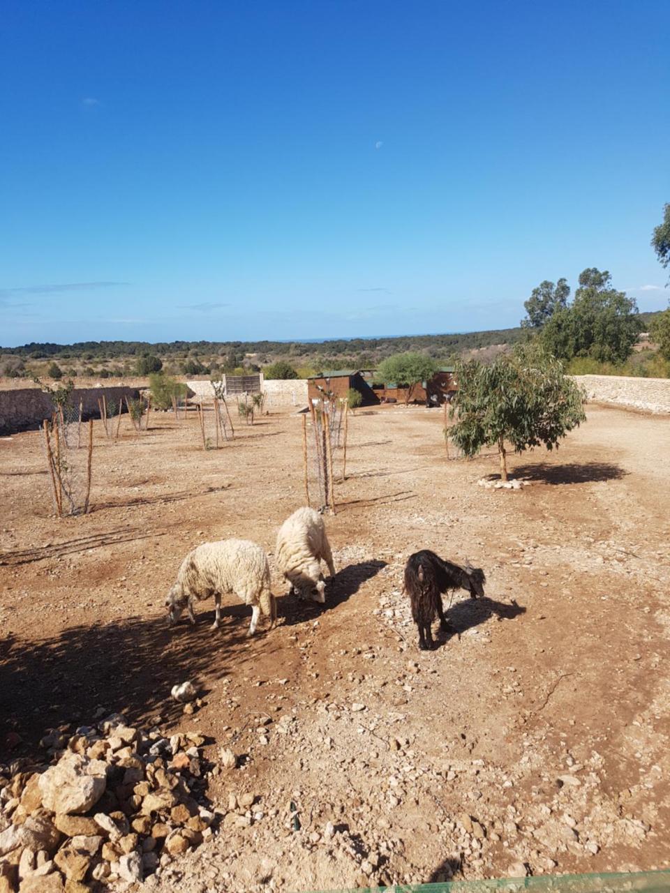 מלון La Maison אסאוירה מראה חיצוני תמונה